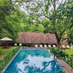 Ekho Sigiriya